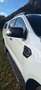 Ford Ranger Ranger Doppelkabine Wildtrak 4x4 2,0 EcoBlue Aut. Wildtrak Weiß - thumbnail 4