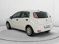 Fiat Punto Pop Blanco - thumbnail 4