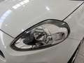 Fiat Punto Pop Blanco - thumbnail 18
