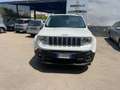 Jeep Renegade Renegade 1.6 mjt Limited fwd 120cv auto Bianco - thumbnail 1