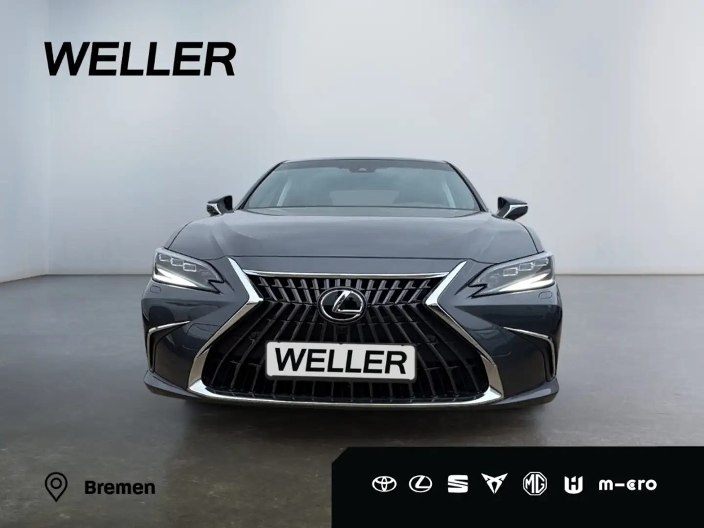 Lexus ES 300 h Luxury Line *HUD*Leder*360*MULTI-LED*ACC*TWA* Grau - 2