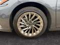 Lexus ES 300 h Luxury Line *HUD*Leder*360*MULTI-LED*ACC*TWA* Grau - thumbnail 20