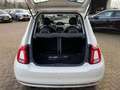 Fiat 500 TURBO LOUNGE EEN SUPER ECHTE NEDERLANDSE 500!! PAR Blanc - thumbnail 11