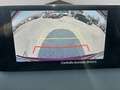 Mazda CX-5 2.2L Skyactiv-D 150 CV 2WD Business Rot - thumbnail 12