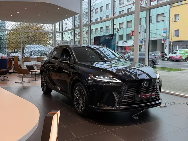 Lexus RX view 4