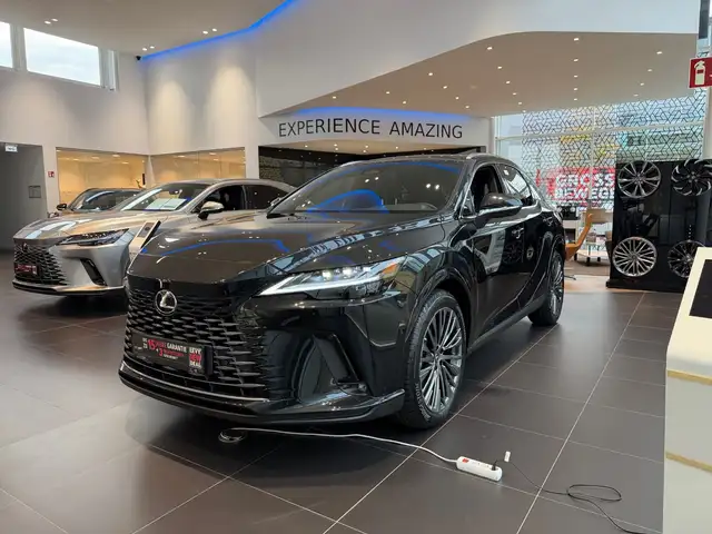 Lexus RX view 2