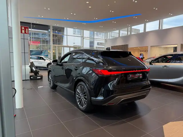 Lexus RX view 6