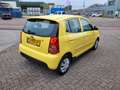 Kia Picanto 1.1 X-ecutive 37000 KM Automaat Gelb - thumbnail 5