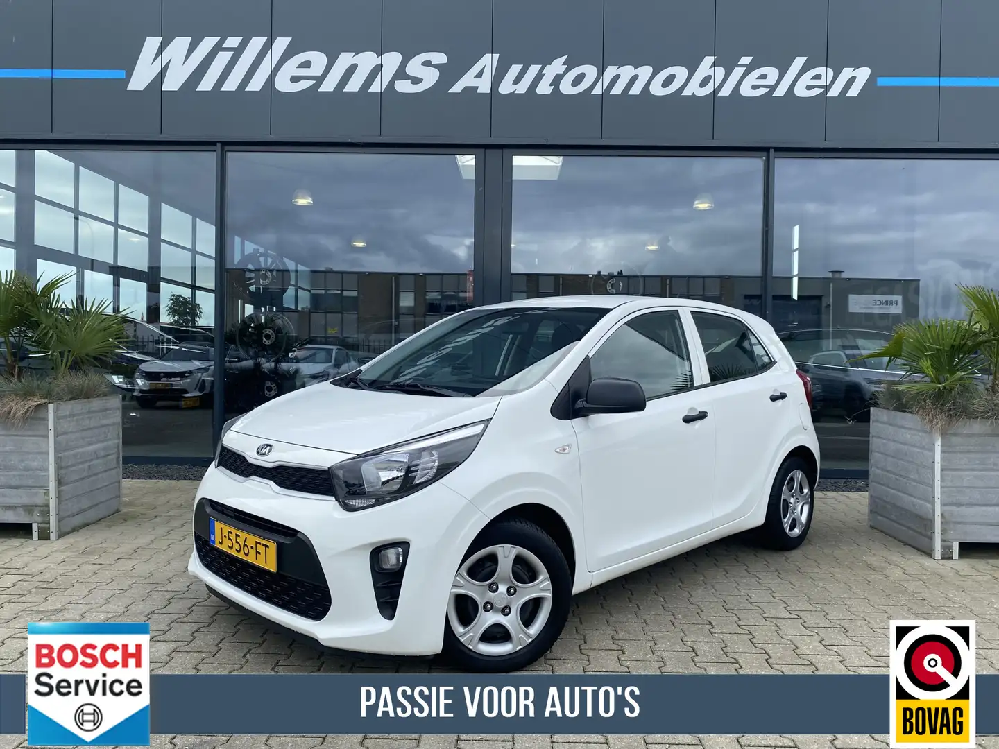Kia Picanto 1.0 CVVT EconomyLine Airco Blanc - 1