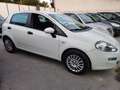 Fiat Punto Punto 5p 1.3 mjt 16v Street 75cv E5+ Bianco - thumbnail 8