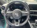 Alfa Romeo Tonale Speciale Groen - thumbnail 10