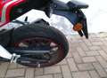 Benelli BN 251 Roşu - thumbnail 5