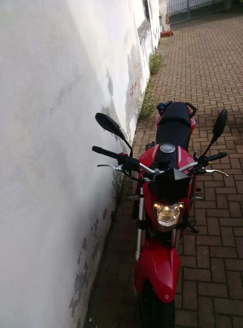 Benelli BN 251 Roşu - 1