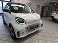 smart forTwo EQ Exclusive,Voll-LED,Pano-dach,Alu,SHZ Blanco - thumbnail 29