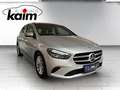 Mercedes-Benz B 220 B 220 Business 4Matic Silber - thumbnail 7