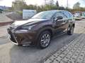 Lexus NX 300 h/Leder/Navi/SHZ/Alu/LED/Kamera Braun - thumbnail 3