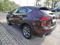 Lexus NX 300 h/Leder/Navi/SHZ/Alu/LED/Kamera Braun - thumbnail 7
