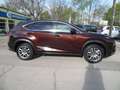 Lexus NX 300 h/Leder/Navi/SHZ/Alu/LED/Kamera Braun - thumbnail 4