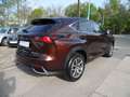 Lexus NX 300 h/Leder/Navi/SHZ/Alu/LED/Kamera Braun - thumbnail 5