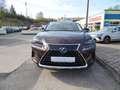 Lexus NX 300 h/Leder/Navi/SHZ/Alu/LED/Kamera Braun - thumbnail 2