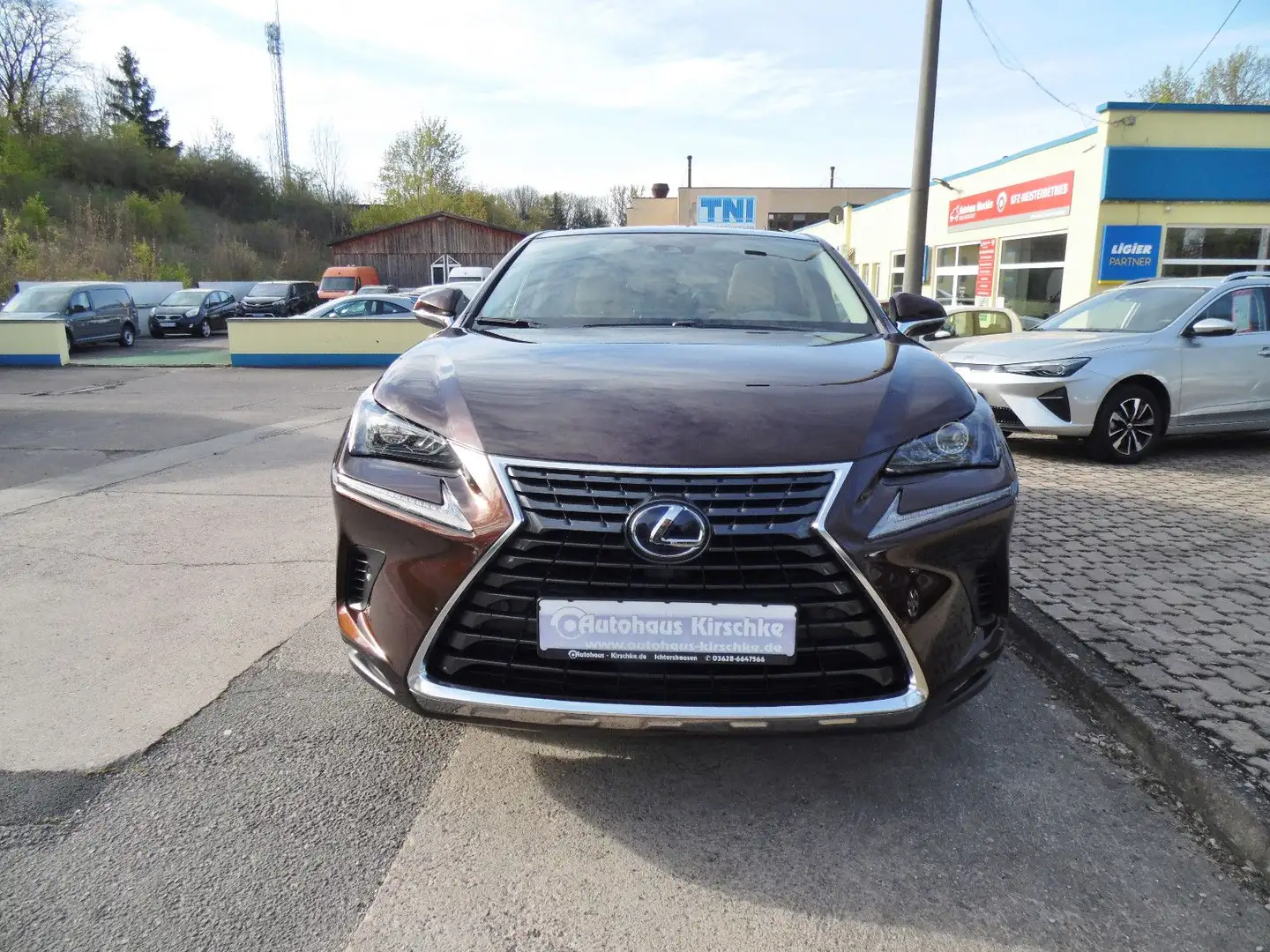 Lexus NX 300 h/Leder/Navi/SHZ/Alu/LED/Kamera Braun - 2