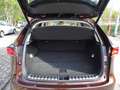 Lexus NX 300 h/Leder/Navi/SHZ/Alu/LED/Kamera Braun - thumbnail 15