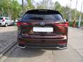 Lexus NX 300 h/Leder/Navi/SHZ/Alu/LED/Kamera Braun - thumbnail 6