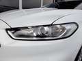Ford Mondeo Turnier 2,0 EcoBlue Aut Weiß - thumbnail 15