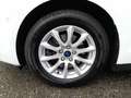 Ford Mondeo Turnier 2,0 EcoBlue Aut Weiß - thumbnail 16