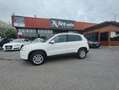 Volkswagen Tiguan 2.0 tdi Sport 4 motion Blanc - thumbnail 5