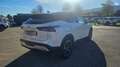 Nissan Qashqai MHEV 140 CV Tekna Bianco - thumbnail 4
