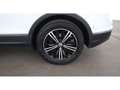 Volkswagen Tiguan 2.0 TDI 4Motion Highline Aut LED STANDHZG Weiß - thumbnail 27