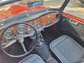 Triumph TR4 TR4 undefined Rouge - thumbnail 5