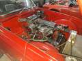 Triumph TR4 TR4 undefined Rouge - thumbnail 11