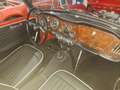 Triumph TR4 TR4 undefined Rouge - thumbnail 8