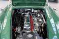 Austin-Healey 100 100/6   BN6L 851 Grün - thumbnail 15
