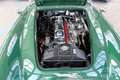 Austin-Healey 100 100/6   BN6L 851 Grün - thumbnail 17