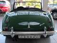 Austin-Healey 100 100/6   BN6L 851 Grün - thumbnail 10