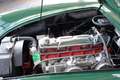 Austin-Healey 100 100/6   BN6L 851 Grün - thumbnail 14