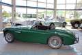 Austin-Healey 100 100/6   BN6L 851 Grün - thumbnail 6