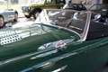 Austin-Healey 100 100/6   BN6L 851 Grün - thumbnail 13