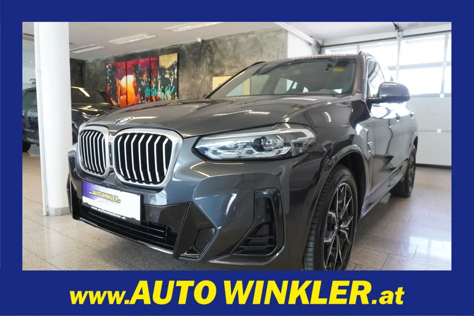 BMW X3 xDrive 30e Aut. M Sport LED/Kamera/Leder Grau - 1