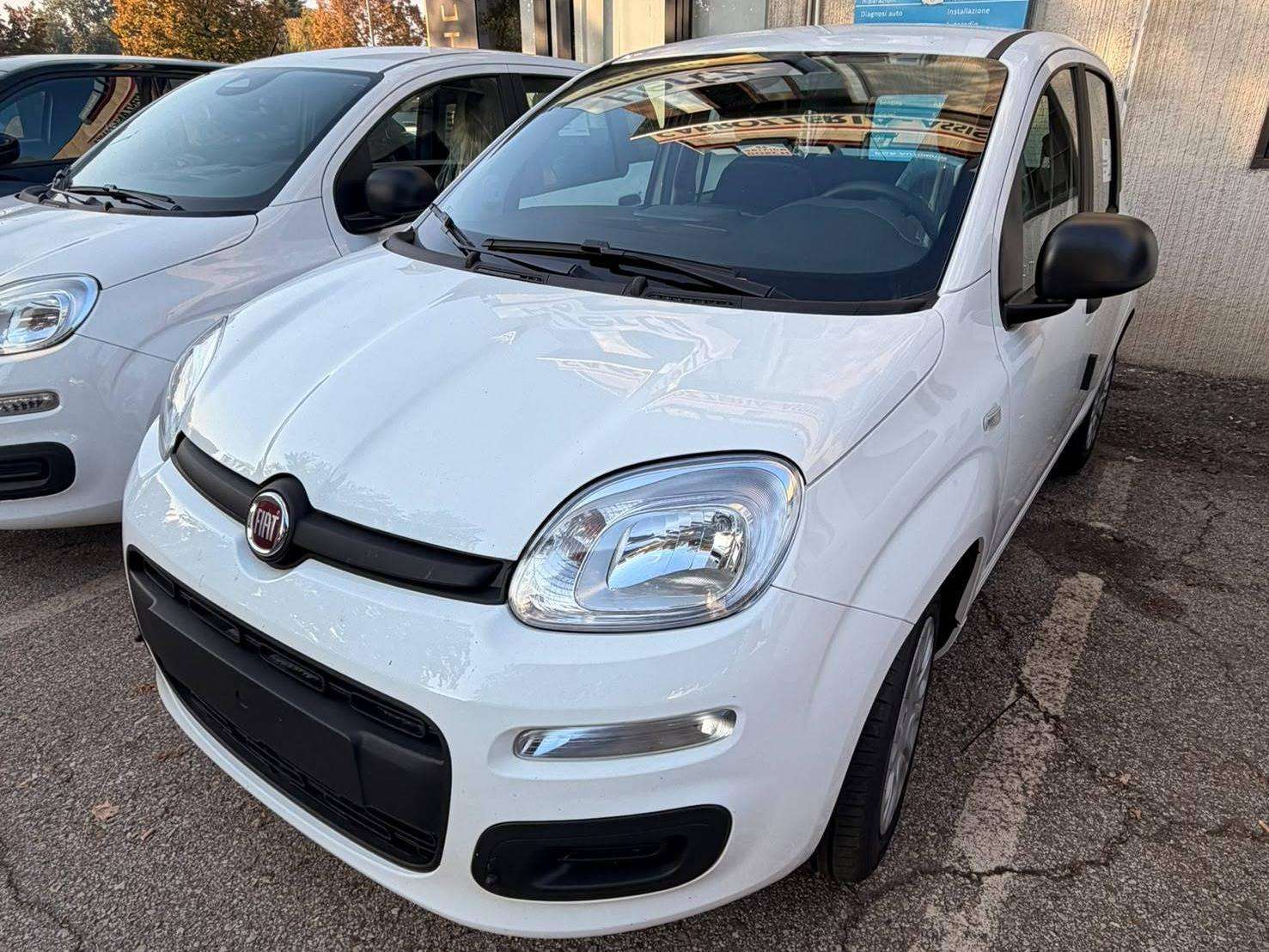 Fiat Panda - Immagine 1