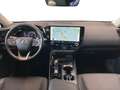 Lexus NX 350h Business Line & Navi & Camera Grijs - thumbnail 7
