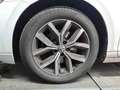Volkswagen Passat Variant Business 2.0 TDI, DSG, 147kW, NAV Weiß - thumbnail 10