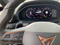 CUPRA Formentor 4Drive 2.0 TDI AHK Navi Kamera 19 Zoll Grau - thumbnail 21