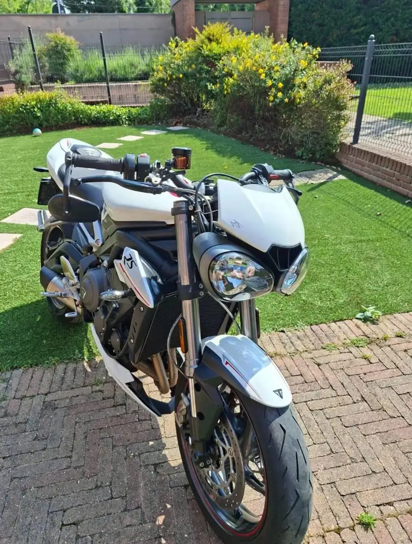 Triumph Street Triple RS RS (2017 - 19) Bianco - 2