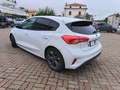 Ford Focus 1.5 TDCi 120 CV Start&Stop ST Line Wit - thumbnail 7
