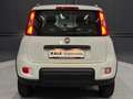 Fiat Panda City Life Weiß - thumbnail 4