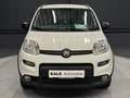 Fiat Panda City Life Weiß - thumbnail 8